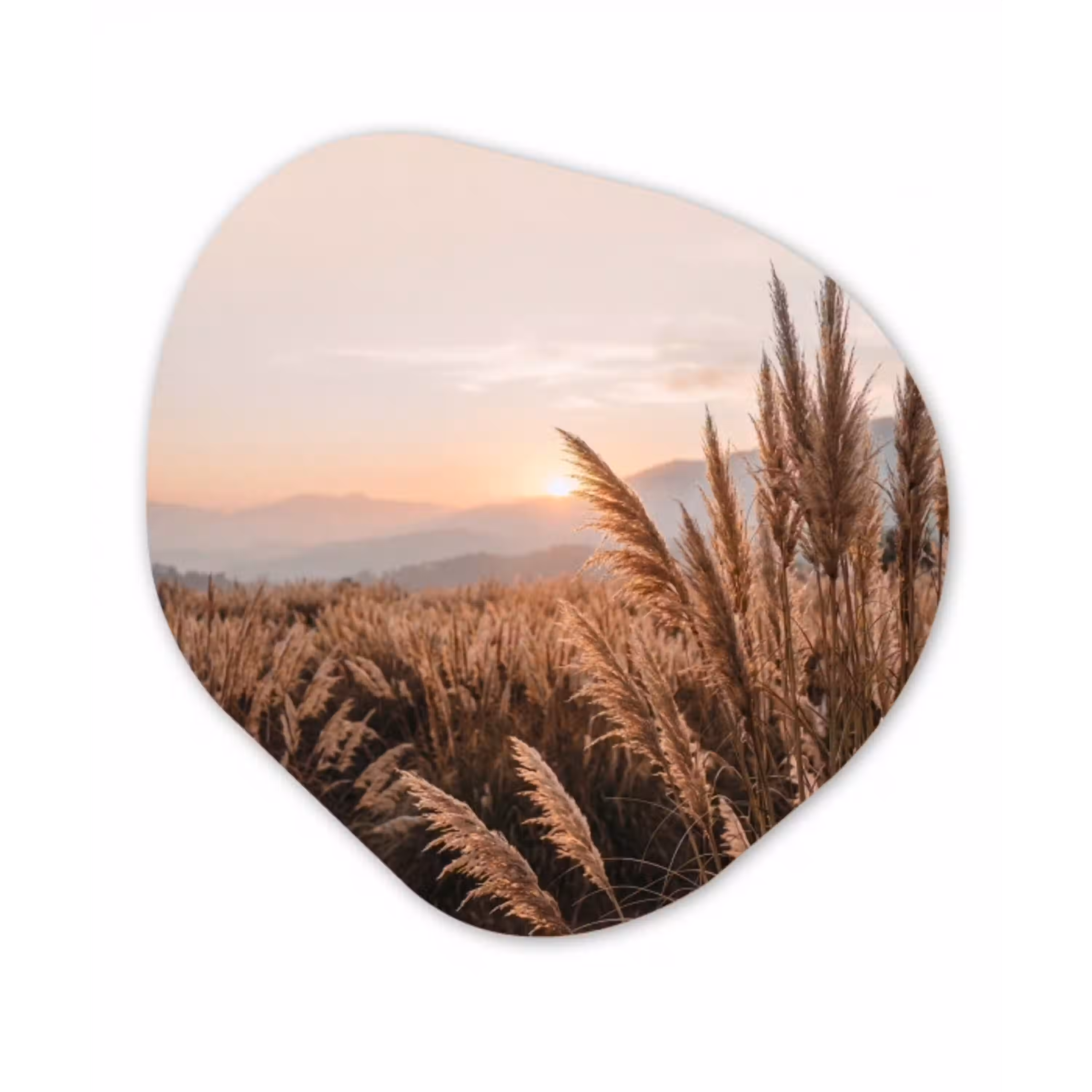 Gras - Veld - Zon - Natuur Wandcirkel Organisch Forex 3mm klein -3d
