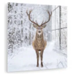 Hert - Winter - Bos - Natuur - Wit plexiglas 5mm klein -zzzproduct_nieuw