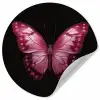 Vlinder - Fuchsia - Grafisch Wandcirkel behangsticker klein -3d
