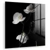 Orchidee - Bloemen - Zwart - Wit - Stilleven plexiglas 5mm klein -zzzproduct_nieuw