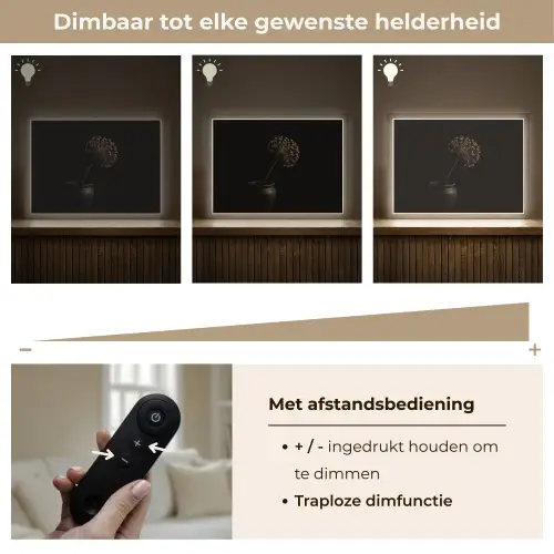 Bol - Gedroogd - Vaas - Zwart Light Box met batterij (Wandlamp) middel -USP_dimbaarNL