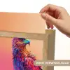 Arend - Vogel - Kleurrijk - Dier Light Box met kabel (Kinderlampje) klein -USP_websiteprintNL