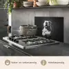 Buldog - Hond - Glas keuken achterwand spatscherm klein -usp_NL