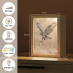 Buizerd - Roofvogel - Natuur - Bruin Light Box met kabel (Kinderlampje) klein -USP_FR