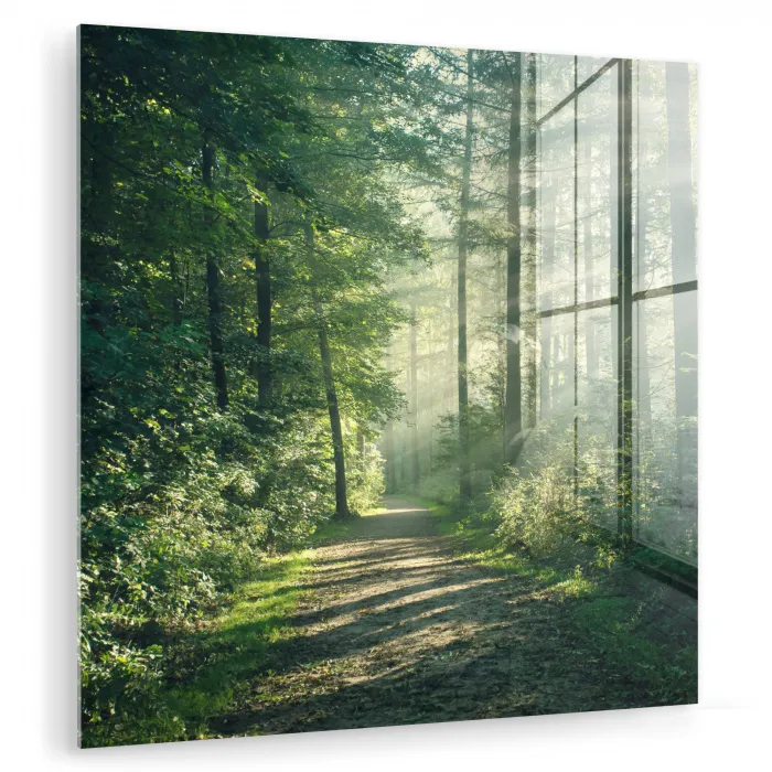 Bos - Pad - Zon - Bomen - Groen - Natuur plexiglas 5mm klein -zzzproduct_nieuw