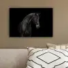 Paard - Dieren - Zwart - Portret canvas 2cm klein -sfeer3