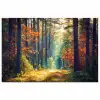 Bos - Zon - Natuur - Herfst poster papier klein -3d