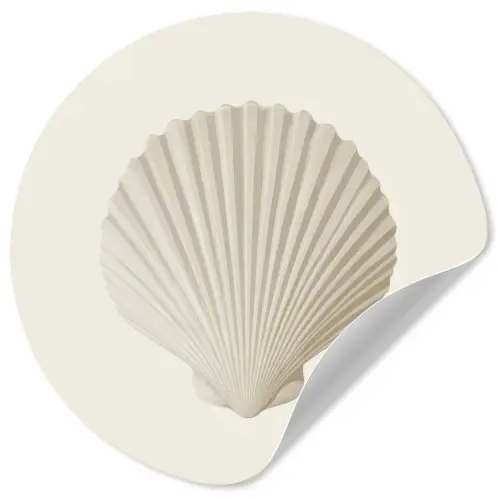 Schelp - Minimalistisch - Wit Wandcirkel behangsticker klein -3d