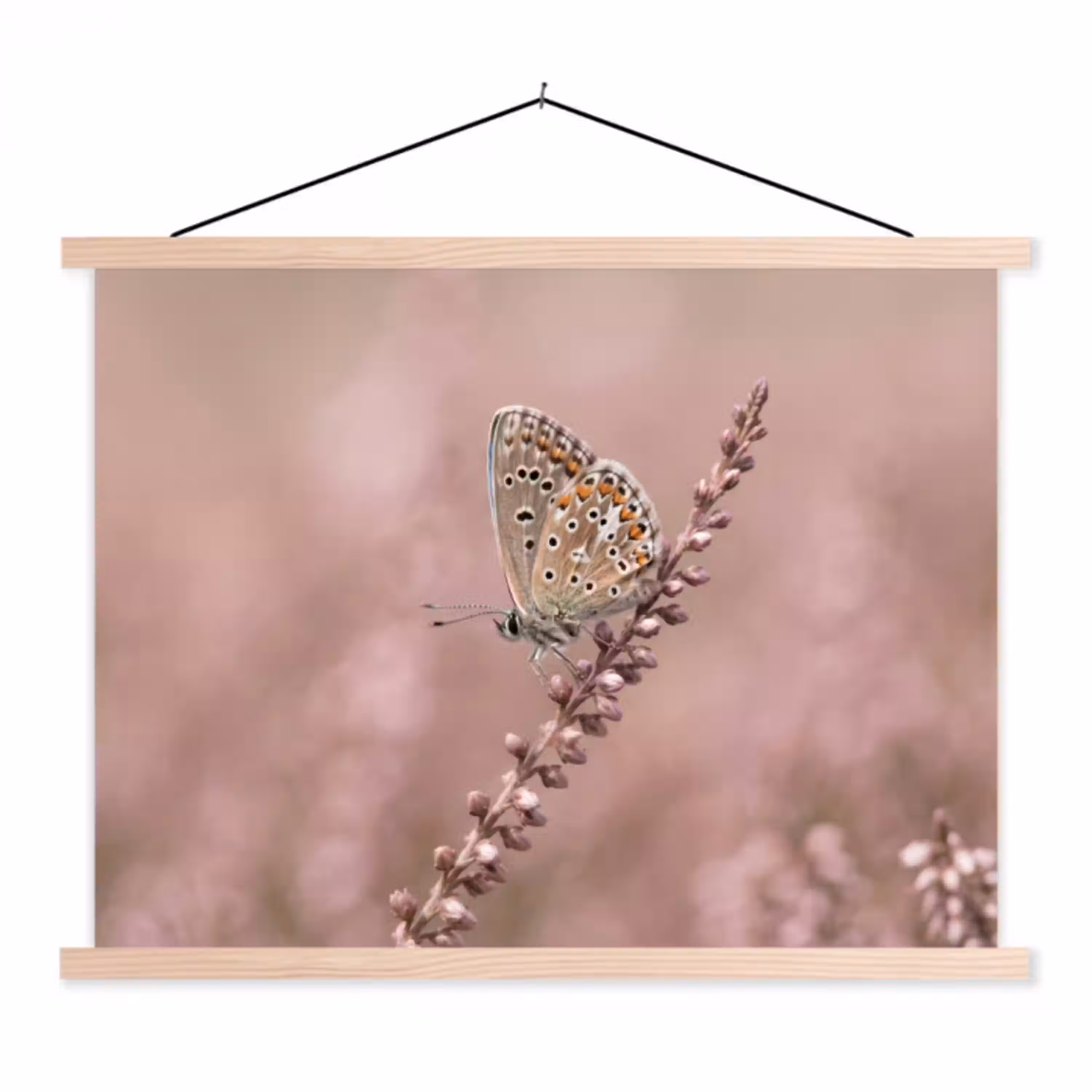 Lavendel - Vlinder - Paars textielposter latten blank klein -3d