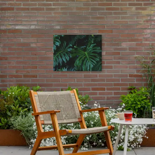 Bladeren - Tropisch - Monstera - Jungle Tuinposter op houten frame 2 cm dik klein -sfeer3