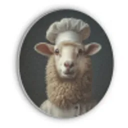 Schaap - Wol - Kok Akoestische PET Vilt - Rond klein -3d