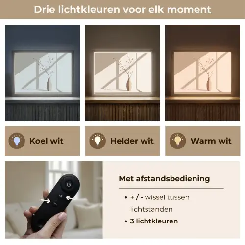 Vaas - Takken - Bessen - Minimalistisch Light Box met batterij (Wandlamp) middel -USP_lichtkleurNL