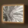 Palmboom - Tropisch - Zwart - Wit Light Box met batterij (Wandlamp) middel -z3d_website