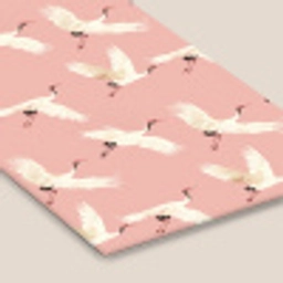 Modern - Kraanvogels - Roze fotolijst zwart zonder passe partout klein 224 -zsfeer6