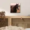 Paard - Zonsondergang - Bruin aluminium wit klein -sfeer3