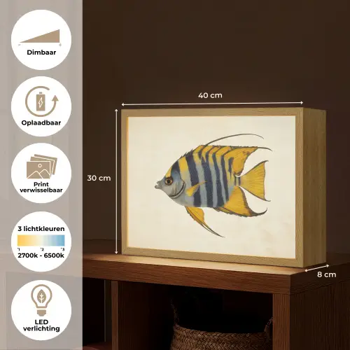 Vis - Sierlijk - Vinnen - Illustratie Light Box met batterij (Wandlamp) middel -USP_websiteoverzichtNL