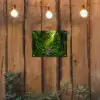 Jungle - Water - Bladeren - Zon - Natuur tuinposter los doek klein -sfeer1