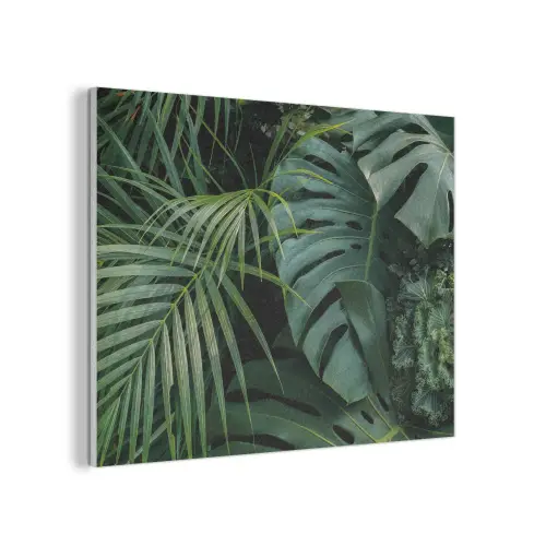 Planten - Jungle - Bladeren - Tropisch PET vilt klein -3d