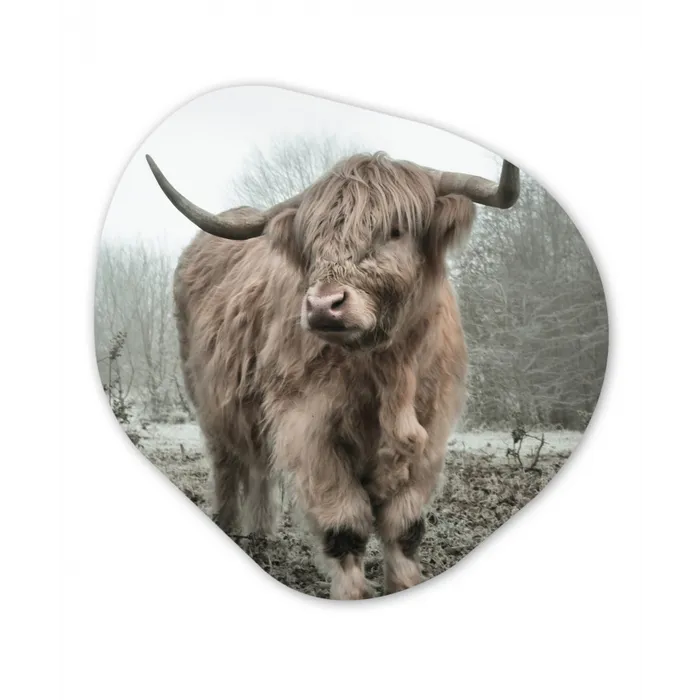 Schotse hooglander - Natuur - Herfst - Dieren - Wild - Bos Wandcirkel Organisch Forex 3mm klein -3d