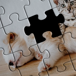 puzzeldoos-4b.png