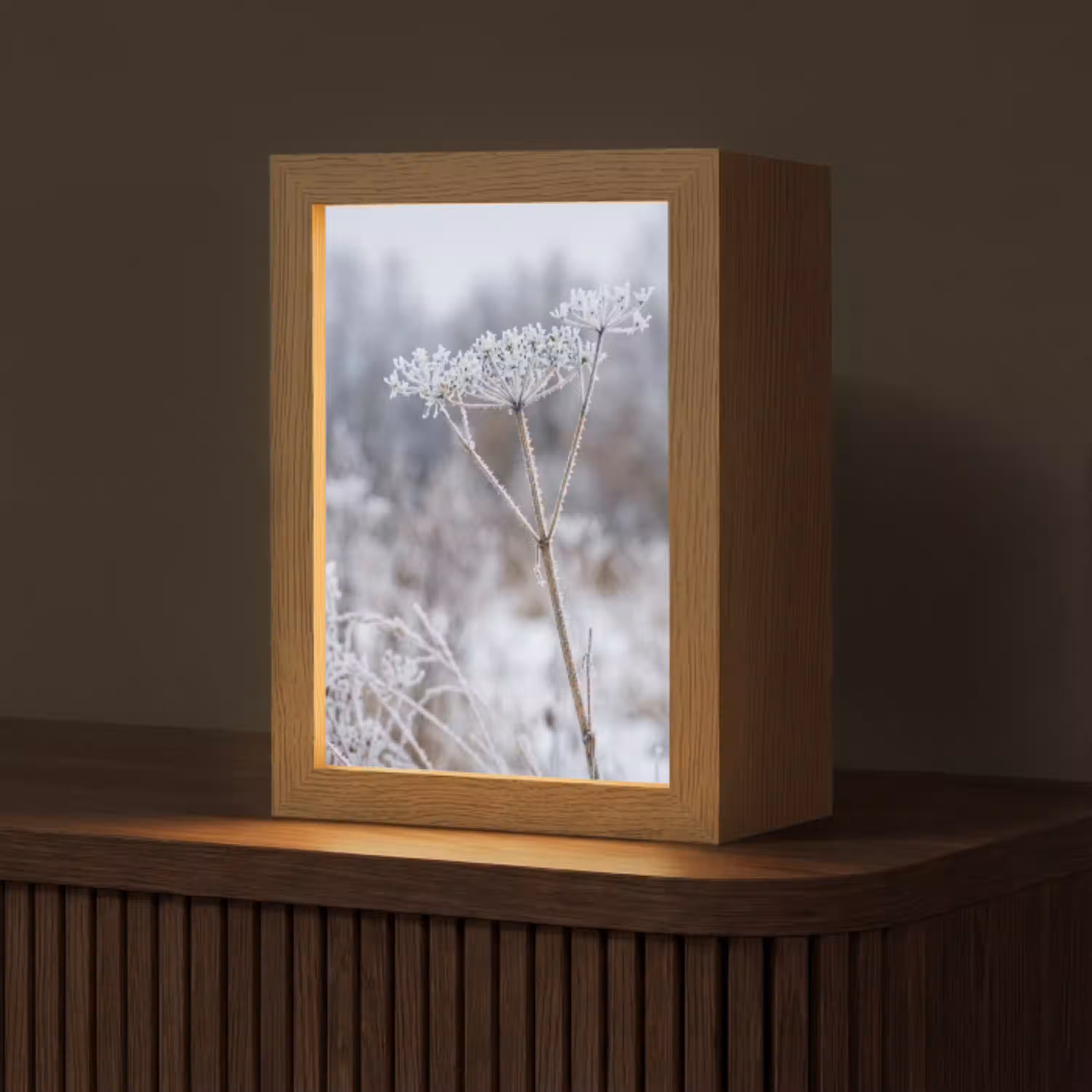 Schermbloem - Rijp - Kristallen - Winter - Delicaat Light Box met kabel (Tafellamp) klein -z3d_website