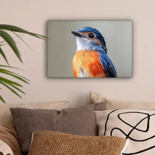 Kleurrijk - Vogeltje - Veren - Blauw canvas 2cm klein -sfeer1