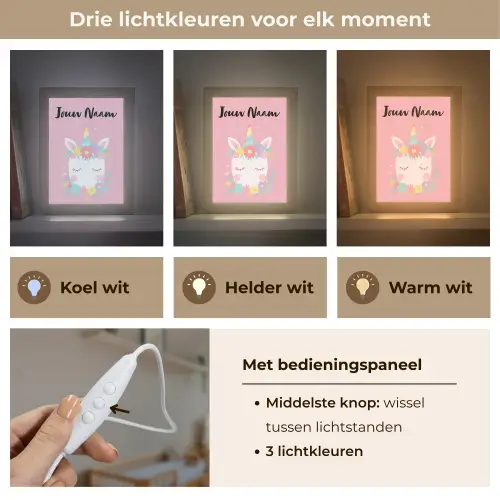 Eenhoorn - Bloemen - Roze Light Box met kabel (Kinderlampje) klein -USP_lichtkleurNL
