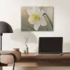 Narcis - Bloem - Minimalistisch PET vilt klein -sfeer5