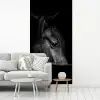Paarden - Portret - Zwart - Dieren fotobehang vinyl groot -woonkamer