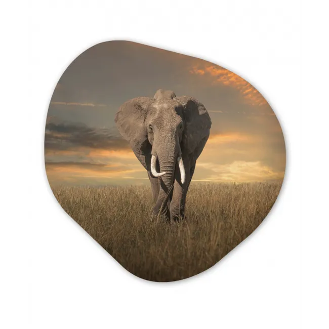 Olifant - Dieren - Gras - Natuur Wandcirkel Organisch Forex 3mm klein -3d