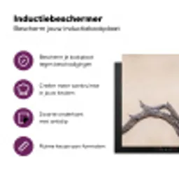 Papagaai - Tak - Roze Inductie beschermer vinyl 3mm klein -zzzzzzz-cc-usp