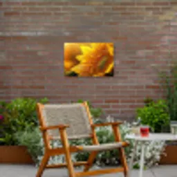 Zonnebloem - Dauwdruppels - Geel - Zonlicht Tuinposter op houten frame 2 cm dik klein -sfeer3