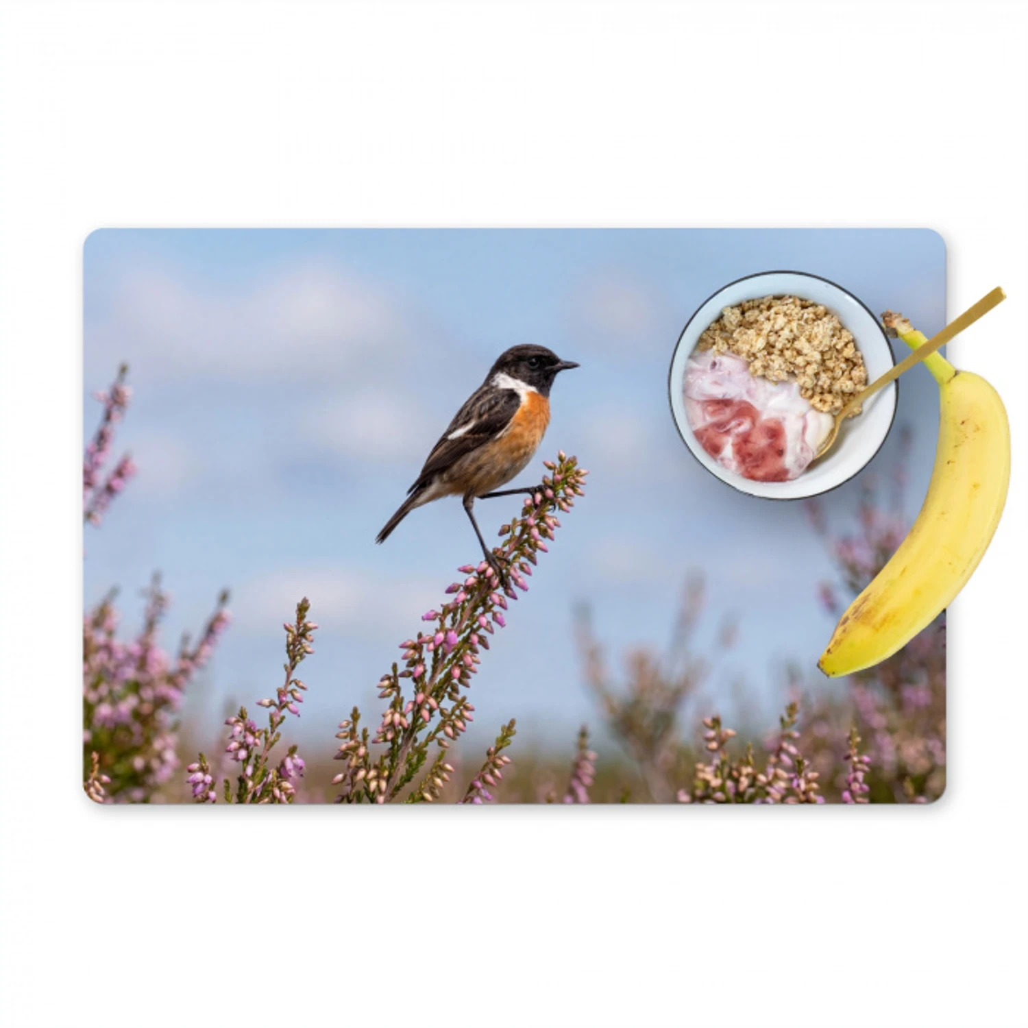 Roodborsttapuit - Heide - Paars - Natuur - Sfeervol Placemat vinyl groot -zzzproduct_Kitchenyeah-website