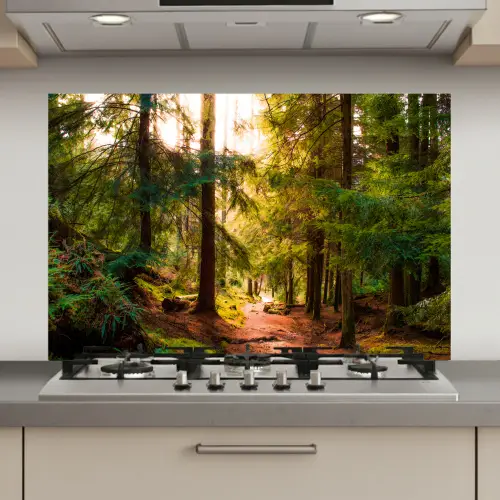 Bos - Pad - Bomen - Groen - Zon - Natuur keuken achterwand spatscherm klein -3d_website