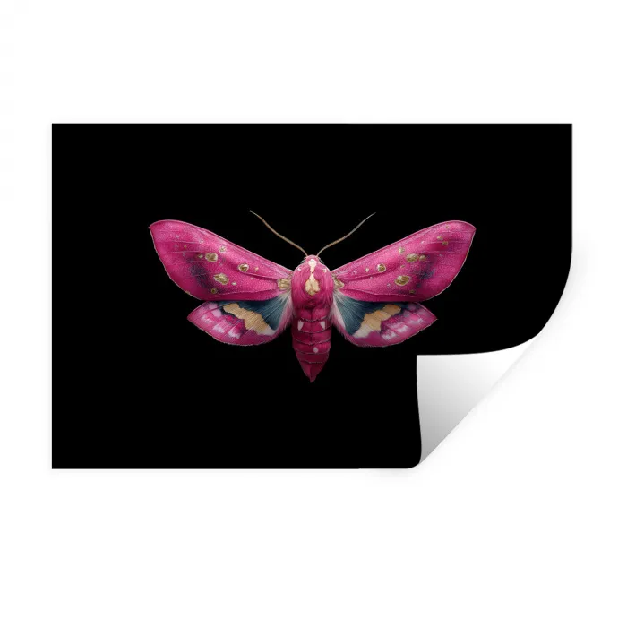 Vlinder - Roze - Nachtvlinder Muursticker klein -3d