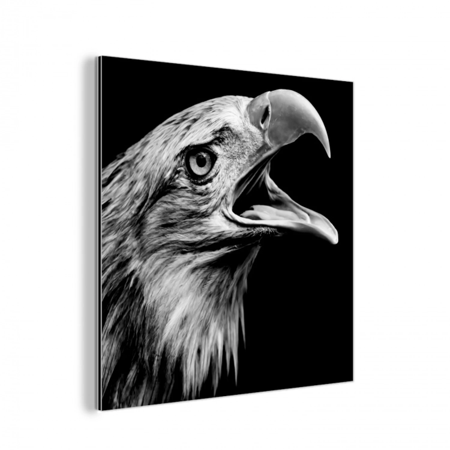 Adelaar - Portret - Roofvogels - Zwart - Wit - Vogel aluminium wit klein -3d