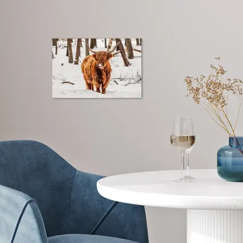 Schotse Hooglander - Sneeuw - Winter - Natuur - Dieren poster papier klein -sfeer3