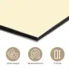 Illustratie - Tulp - Zwart aluminium wit klein -closeup_NL