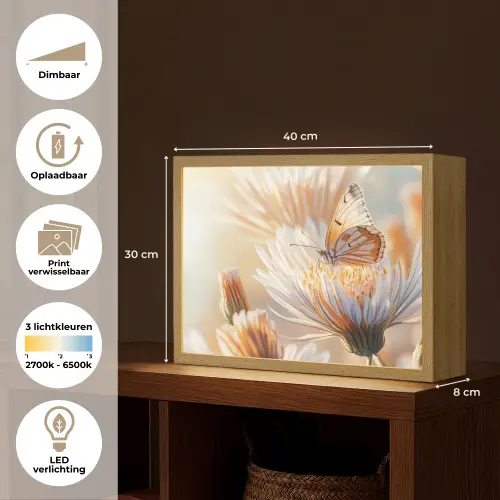 Vlinder - Bloem - Oranje Light Box met batterij (Wandlamp) middel -USP_websiteoverzichtNL