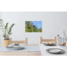Kolibrie - Bloem - Natuur - Groen Muursticker klein -eettafel