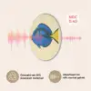 Blauw - Dory - Vis - Staartvin Akoestische PET Vilt - Rond klein -USP_NL