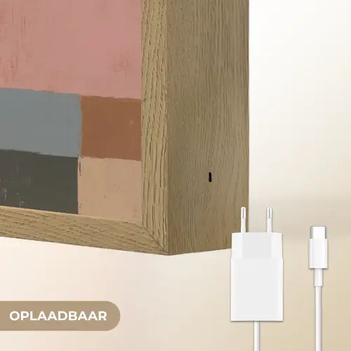 Illustratie - Vogel - Vlakken - Kleurrijk Light Box met batterij (Wandlamp) middel -USP_websiteoplaadbaarNL