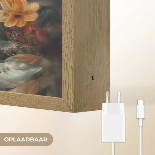 Leeuw - Wilde dieren - Planten - Natuur - Bloemen Light Box met batterij (Wandlamp) middel -USP_websiteoplaadbaarNL