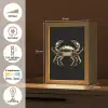 Goud - Krab - Dieren - Zwart Light Box met kabel (Tafellamp) klein -USP_NL