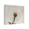 Paardenbloem - Minimalistisch - Wit PET vilt klein -3d