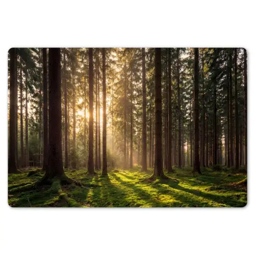 Bos - Gras - Zonlicht Placemat vinyl groot -zzsfeer1_Kitchenyeah-website
