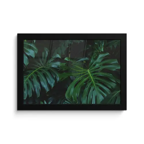 Monstera - Bladeren - Tropisch - Jungle fotolijst zwart zonder passe partout klein -3d