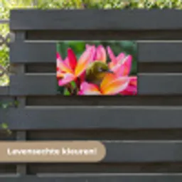 Tropische vogel tussen roze bloem tuinposter los doek klein -sfeer3