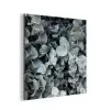 Natuur - Planten - Eucalyptus - Bladeren aluminium wit klein -3d