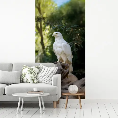 Arend - Hout - Wit - Planten fotobehang vinyl groot -woonkamer